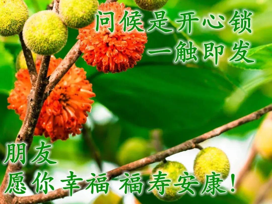 技能暖暖的微笑满级后-修炼满级的暖暖微笑，让我的世界亮起来
