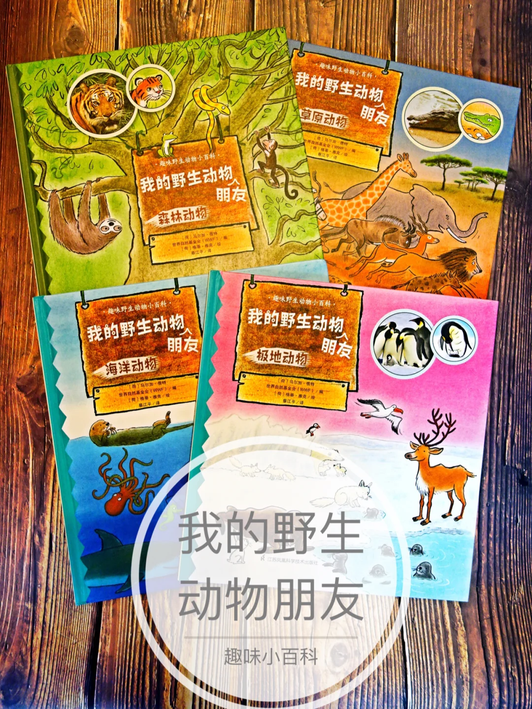 伊苏f支线任务_伊苏故事线_伊苏8支线任务中文