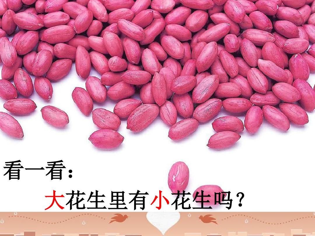 花生蚂蚁用什么药_蚂蚁吃花生_蚂蚁吃花生米吗