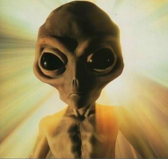 沃克星人 没有物理形态_沃克星计划_沃克值得培养吗