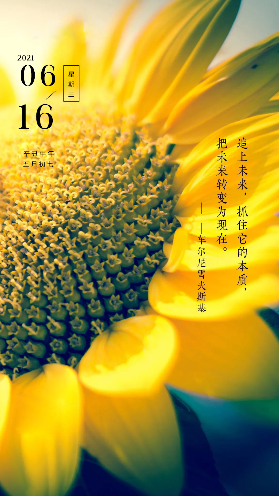 胖公主_胖公主与粉爪爪龙_胖公主攻略