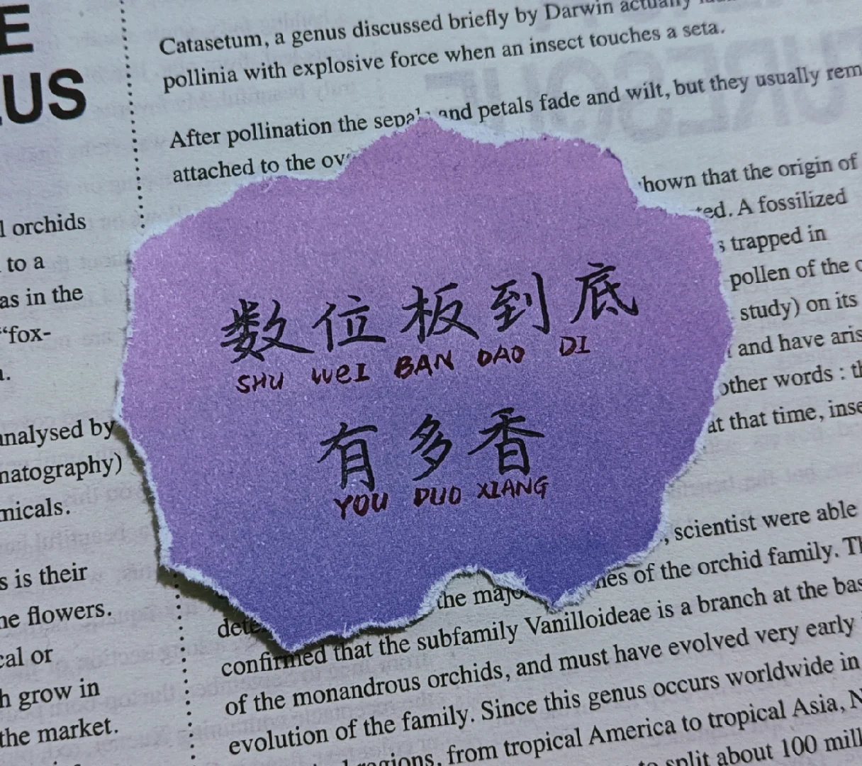 驱动板功能_数位驱动器怎么安装_数位板驱动有什么用
