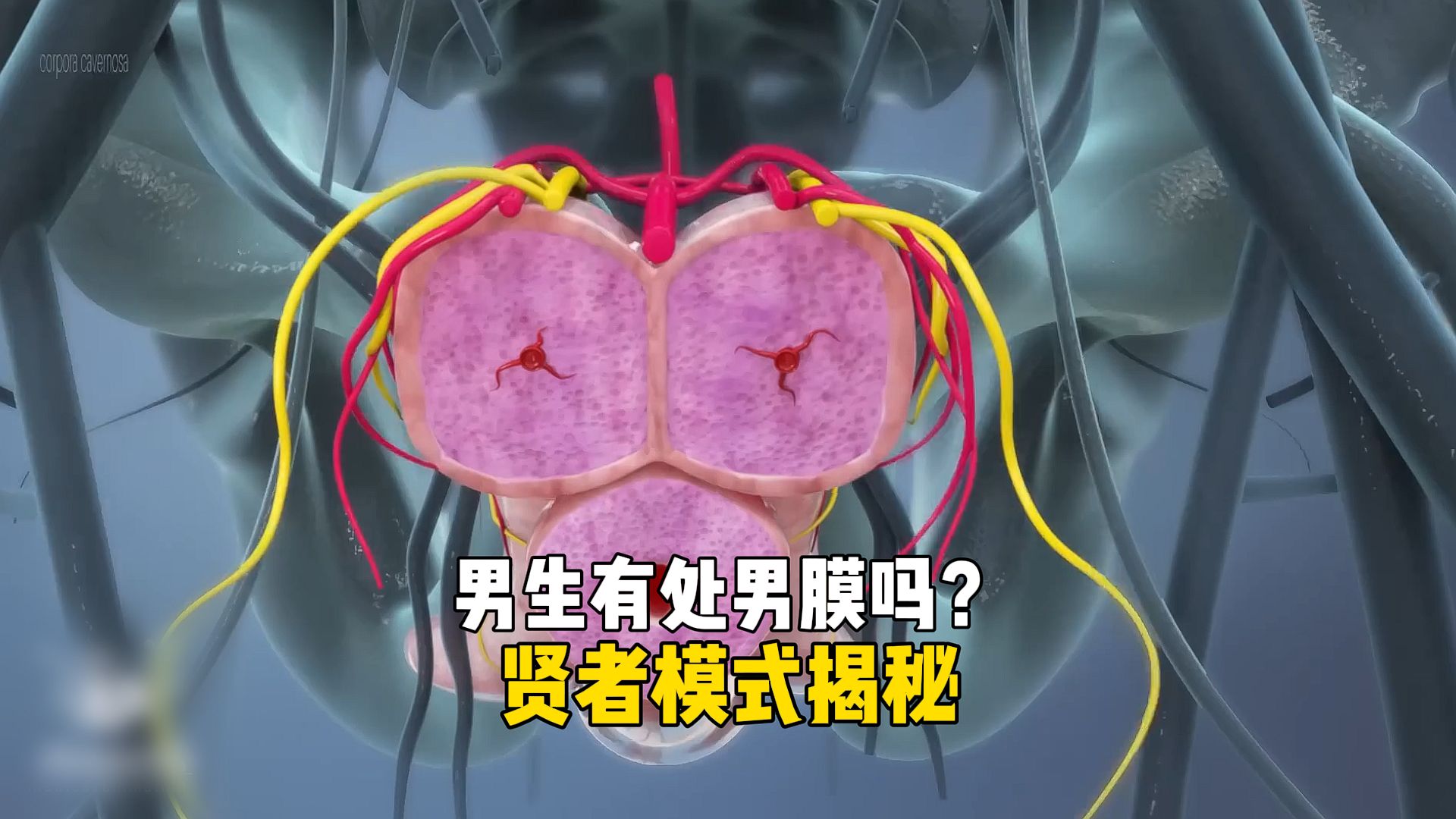 进入贤者模式表情包_为什么有人容易进入贤者模式_进入贤者模式的原因