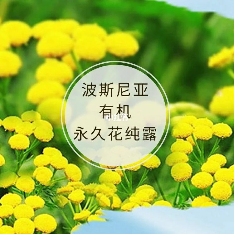 魔力学堂称号大全_魔力学堂道具_魔力学堂称号大全图片