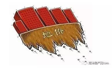斗鸡价格_山东斗鸡苗_山东河泽斗鸡场每只斗鸡出售价格