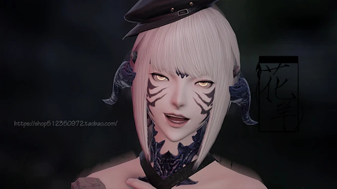 捏脸人物_捏脸人物模板_ff14人族男捏脸数据图