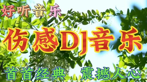 两个字的歌曲dj版-心跳加速！两个字歌曲的 DJ 版，带你沉浸音乐海洋