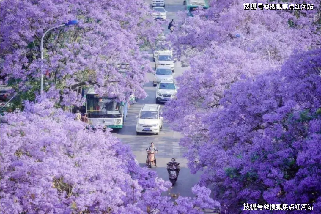中国有几个特大城市_我想看中国大城市_中国大城市有哪些城市