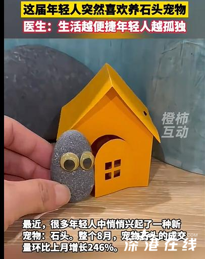 网游之决战虚拟：青春的战场，梦想的起点，情感的寄托