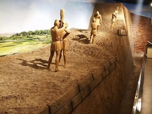 龙蒺藜在哪有?-神秘的龙蒺藜究竟藏在何处？跟随我的寻宝之旅一探究竟