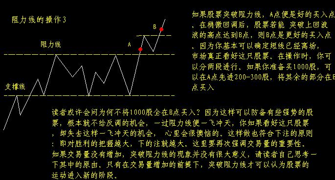 大树支撑架图片大全_大树需要什么支撑的意思是_大树支撑撑杆示意图大全