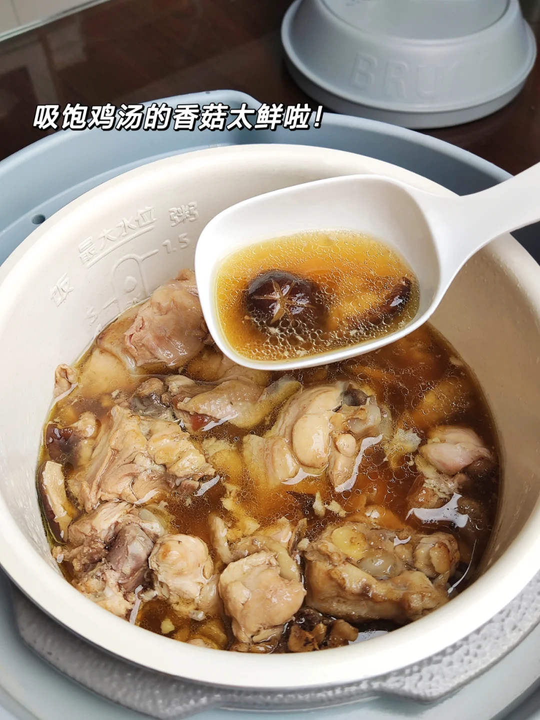 finsybo电压力锅_博胜电压力锅使用说明_博胜电压力锅说明书