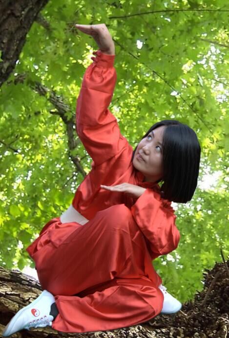 会龙拳虎拳等一个动漫-龙拳虎拳：青春燃烧的热血动漫，拳击与梦想的激情碰撞