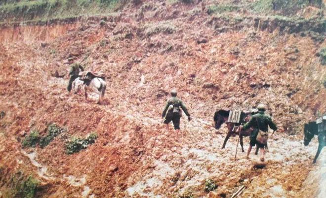 义务兵有持枪证吗_两年义务兵能摸几次枪_义务兵可以持枪吗