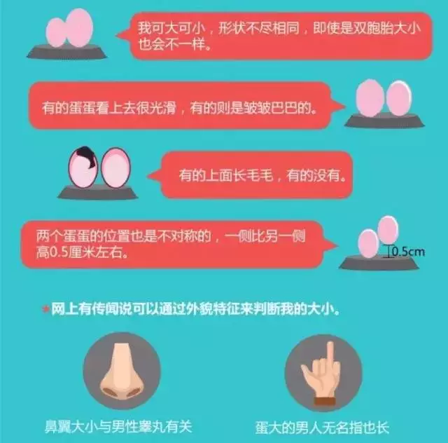蛋蛋赚能提现吗_蛋蛋赚钱app_蛋蛋赚真的可以提现么