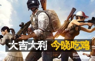 吃鸡是什么游戏怎么玩,全面解析玩法与技巧