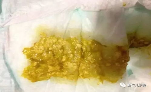 萌犬便便便游戏破解版,解锁萌犬奇幻冒险之旅