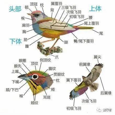 工艺结构 